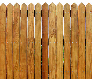 Fence Painting Service Image