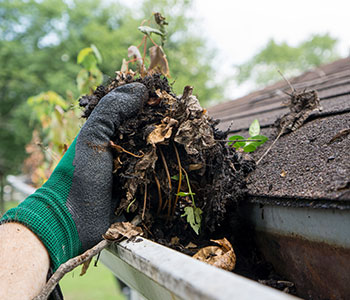 Gutter Cleaning Service Image